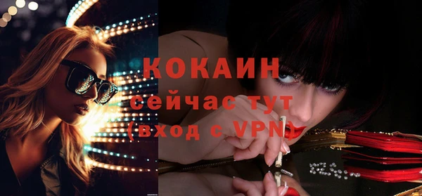 гашик Новодвинск