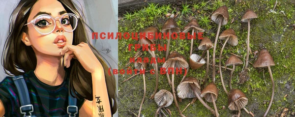 марки nbome Новозыбков
